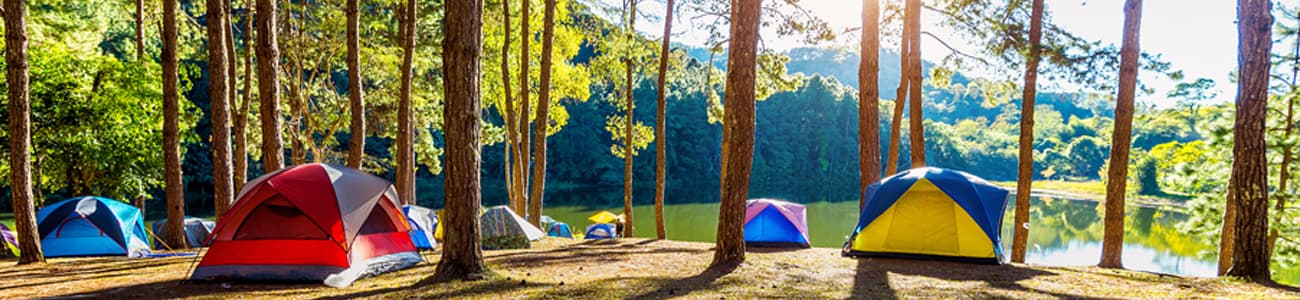 Scouts camping
